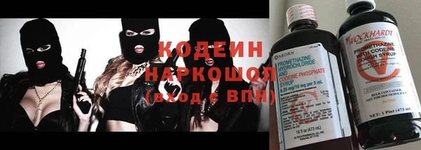 ПСИЛОЦИБИНОВЫЕ ГРИБЫ Алзамай