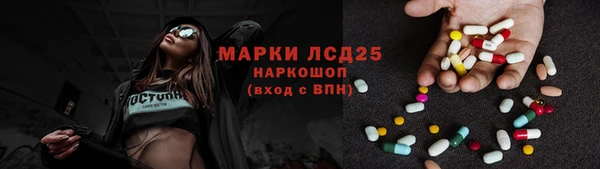ПСИЛОЦИБИНОВЫЕ ГРИБЫ Алзамай