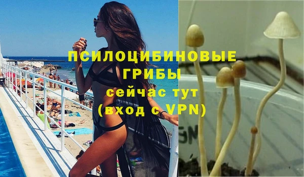 соль курить ск Алексеевка