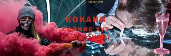 кокс Алексин